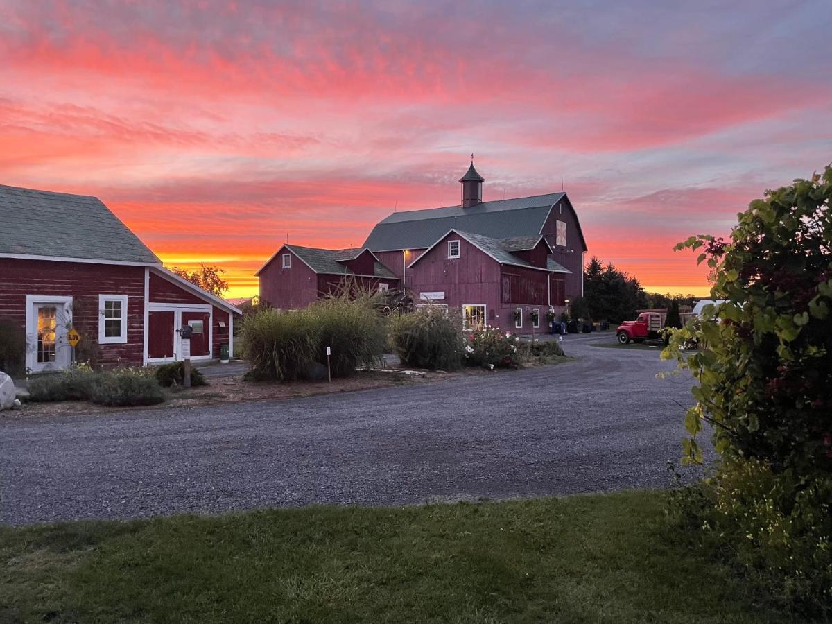The Eddie Hotel And Farm Bloomfield Εξωτερικό φωτογραφία