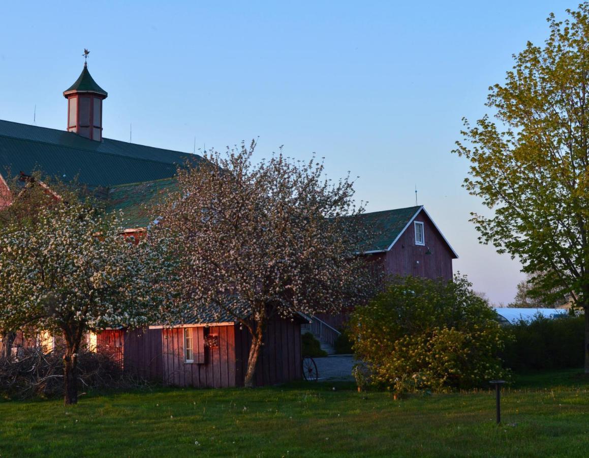The Eddie Hotel And Farm Bloomfield Εξωτερικό φωτογραφία